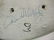 Carved Folk Art Decoy, Signed Donald W. Morley - 5