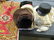 Mixed Textile Lot of Vintage Hats and Misc.