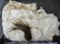 Mixed Textile Lot of Vintage Hats and Misc. - 6