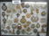 Complete Tray of Mostly British Cap Medals