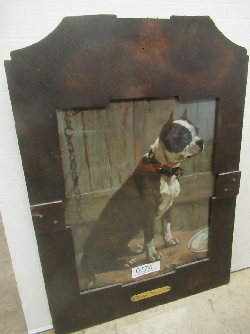 Framed Print of Boston Terrier (1 of 2)