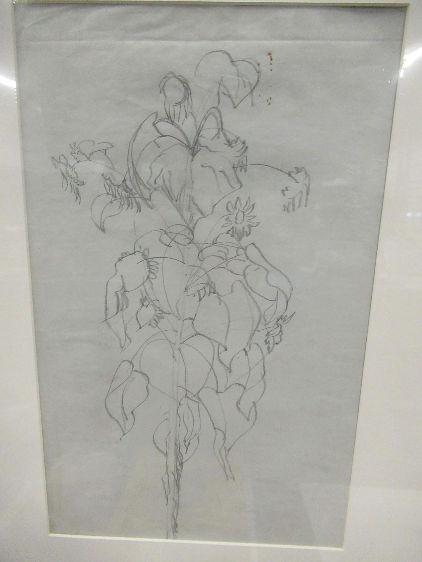 Charles Burchfield Pencil Drawing of Sunflower (1 of 3)