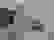 item-101917910=2