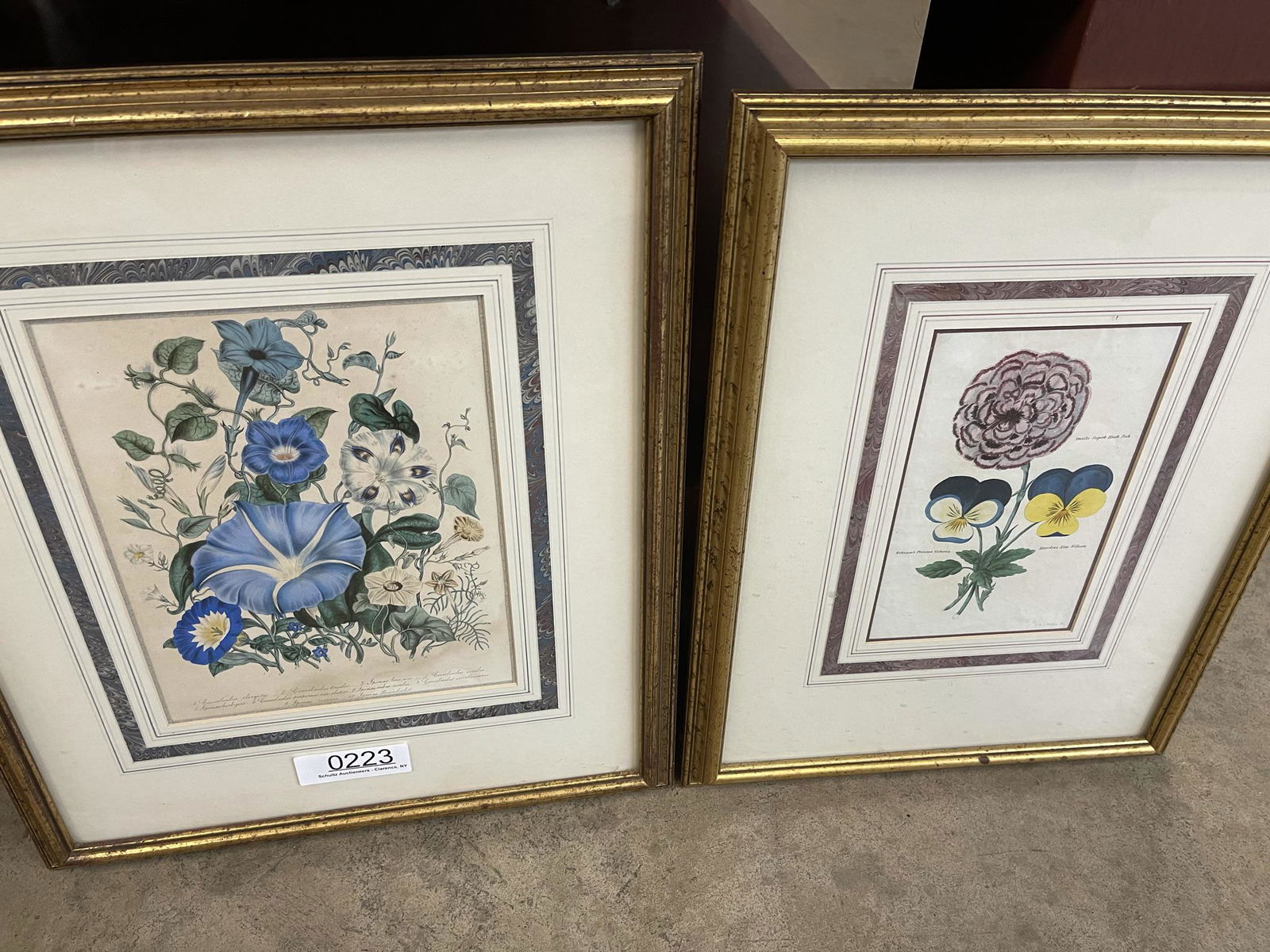 2 Framed French Early Hand Colored Flower Prints (1 of 5)