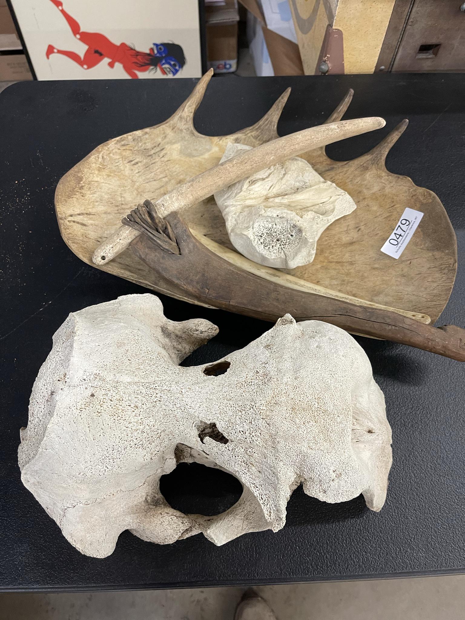 Moose Antler, Skull, and Misc Bone Pieces: Moose Antler, Skull, and Misc Bone Pieces -