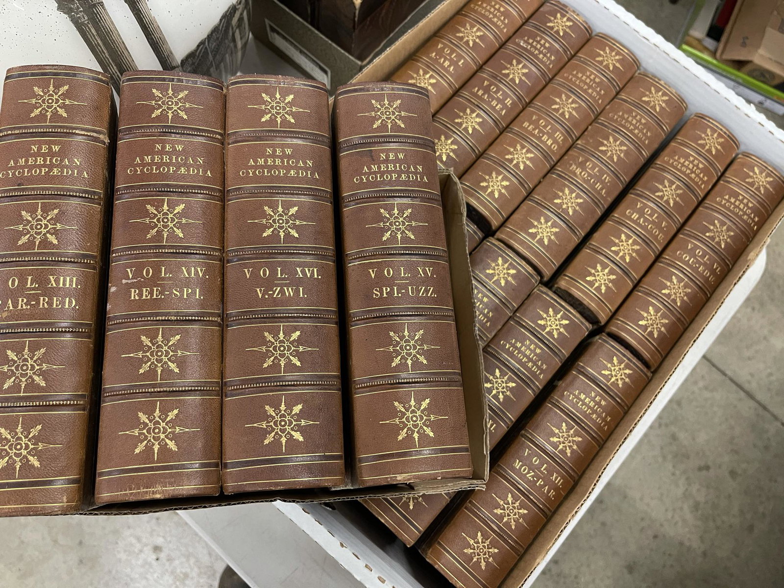 16 Volumes of the New American Cyclopedia: 16 Volumes of the New American Cyclopedia, Leather Bound Set, 1858 -