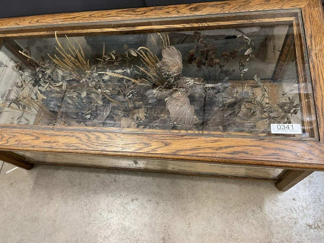 Oak Coffee Table with Group of Quail Taxidermy: Oak Coffee Table with Group of Quail Taxidermy under glass - Approx. 18" h x 50" l x 22" d