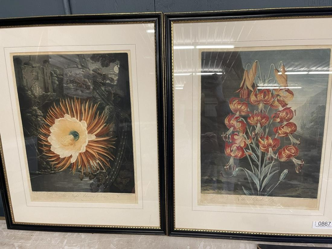 Pair of Late 18th C. Colored Prints (1 of 10)
