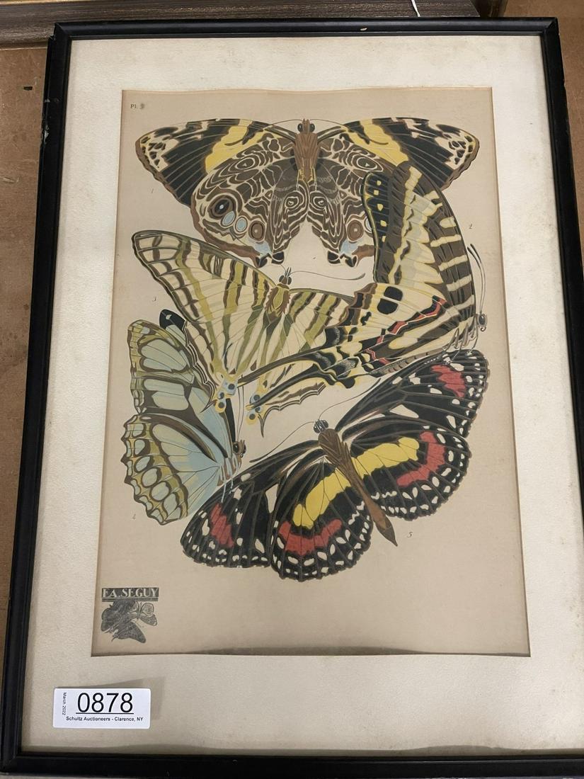 EA. Seguy Book Plate of Butterflies, Plate #5 (1 of 5)