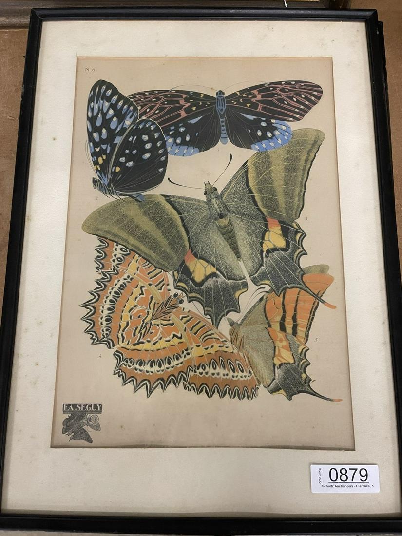 EA. Seguy Book Plate of Butterflies, Plate #6 (1 of 5)