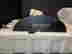item-123242075=10