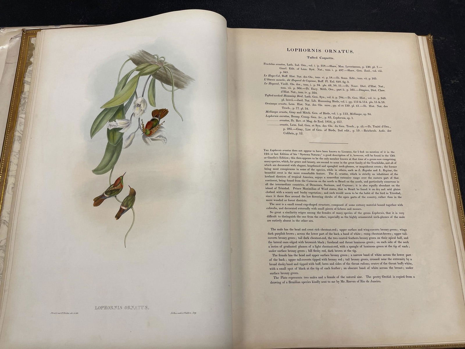 Leather Bound Folio W/ 6 Prints By J Gould