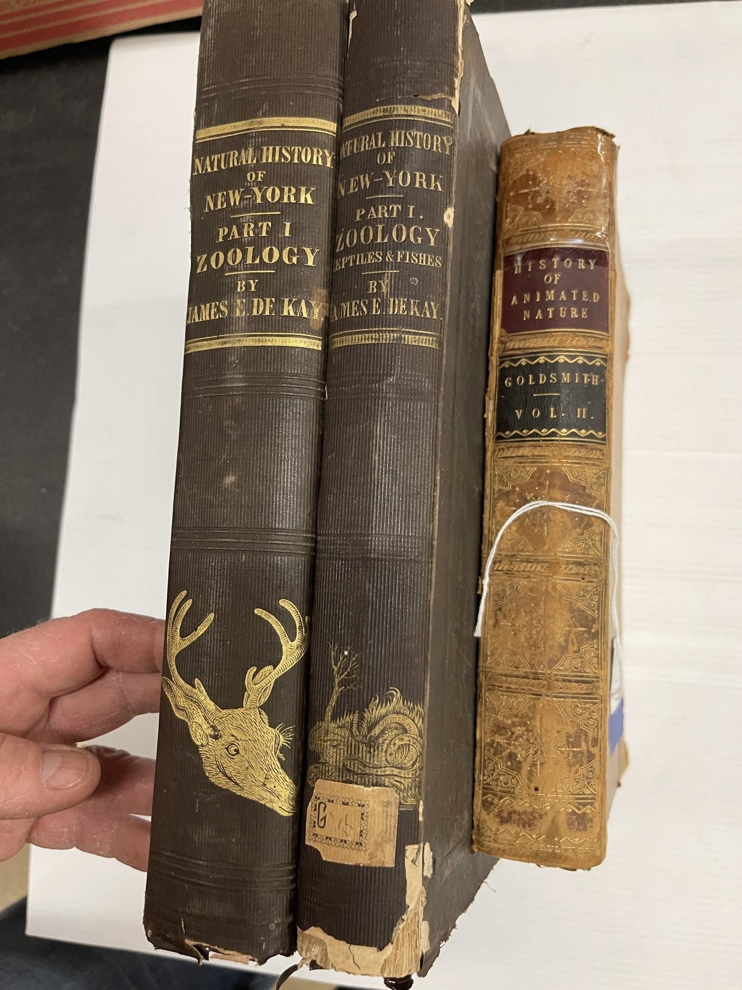 3 Books incl. 1842 Natural History of NY Zoology (1 of 17)