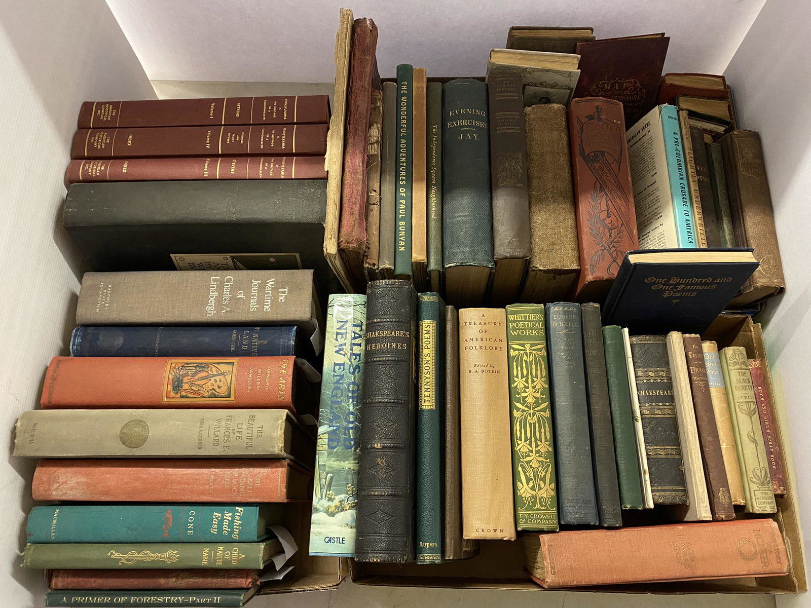 Mixed Group of Books incl. Social Dynamite (1 of 20)