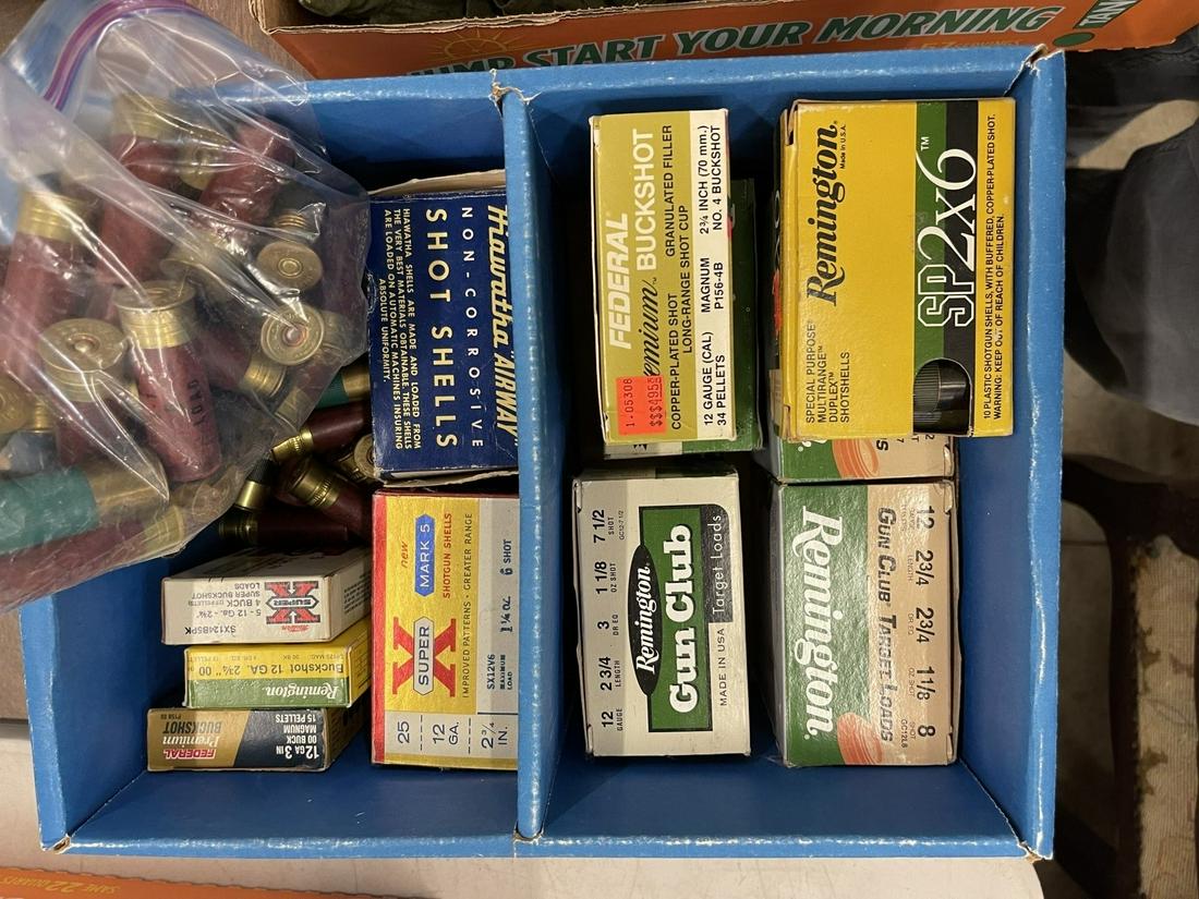 12 Ga. Shotgun Shells incl. Buck Shot, etc.: Group of 12 Ga. Shotgun Shells incl. Buck Shot, Target Loads, etc -