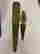 item-133734600=5