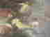 item-133734706=5