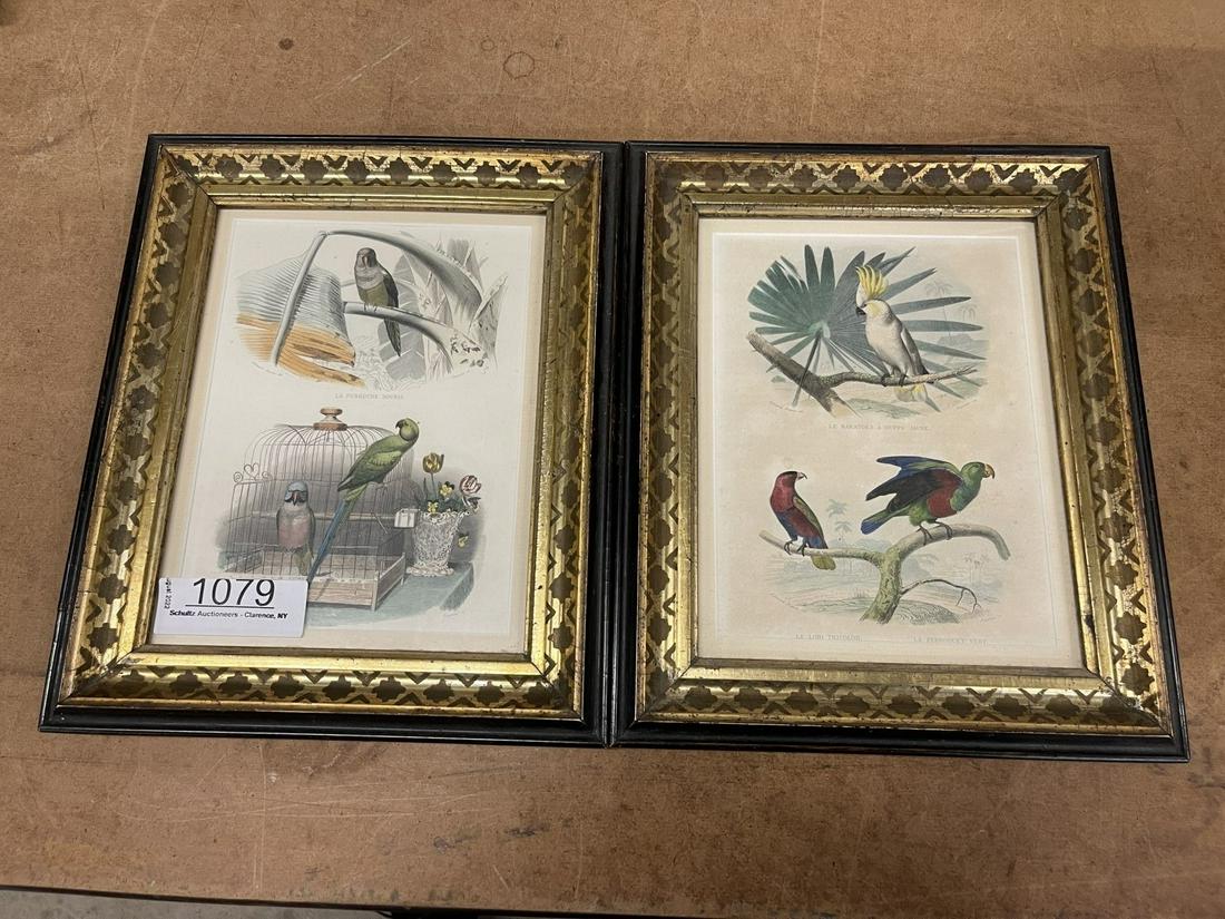 2 Victorian Hand Colored Framed Prints (1 of 7)