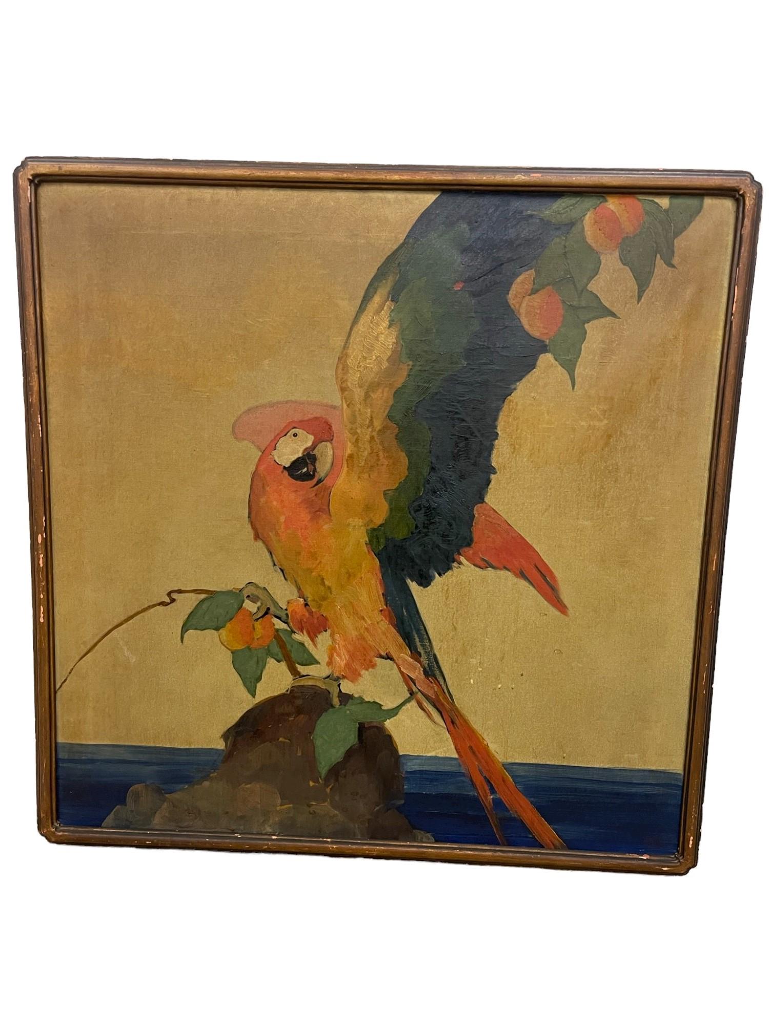 Oil on Canvas Painting Signed Stark Davis: Oil on Canvas Painting of Parrot Signed Stark Davis - approx 36" x 36"