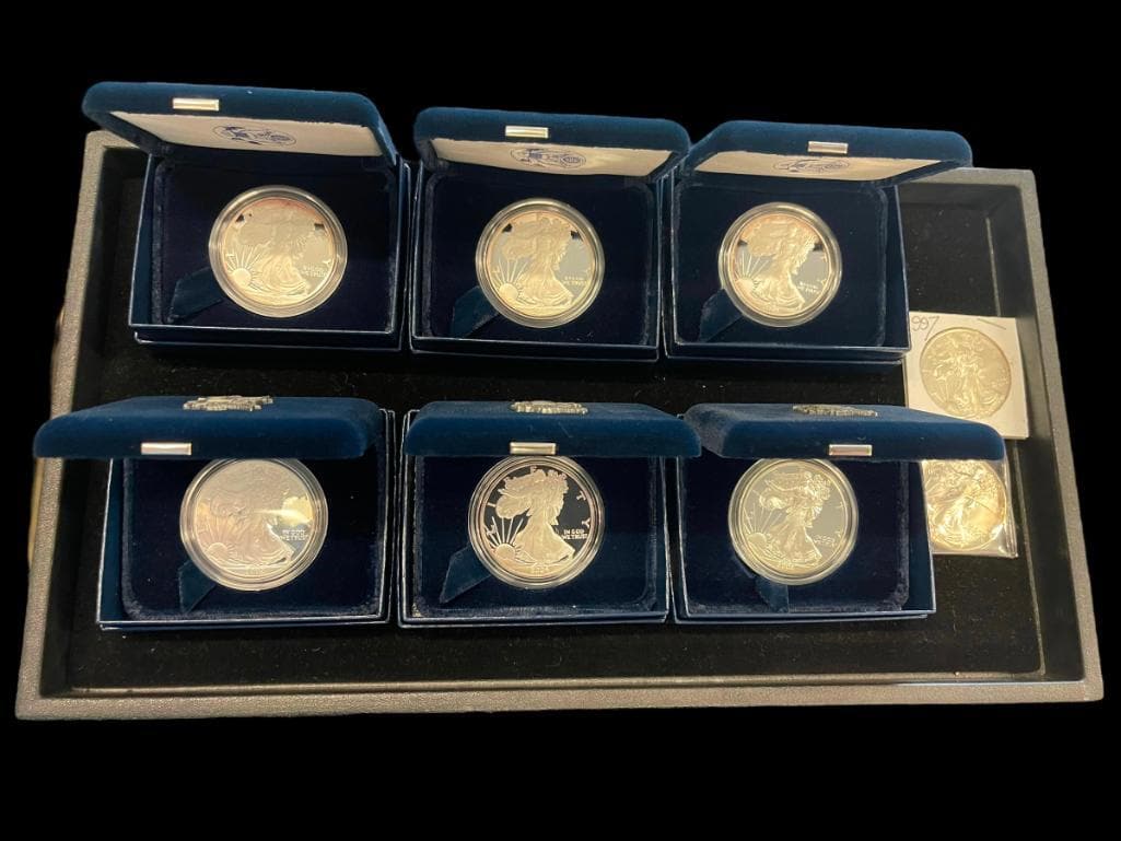 1 oz. Silver Bullion Coins (1 of 12)