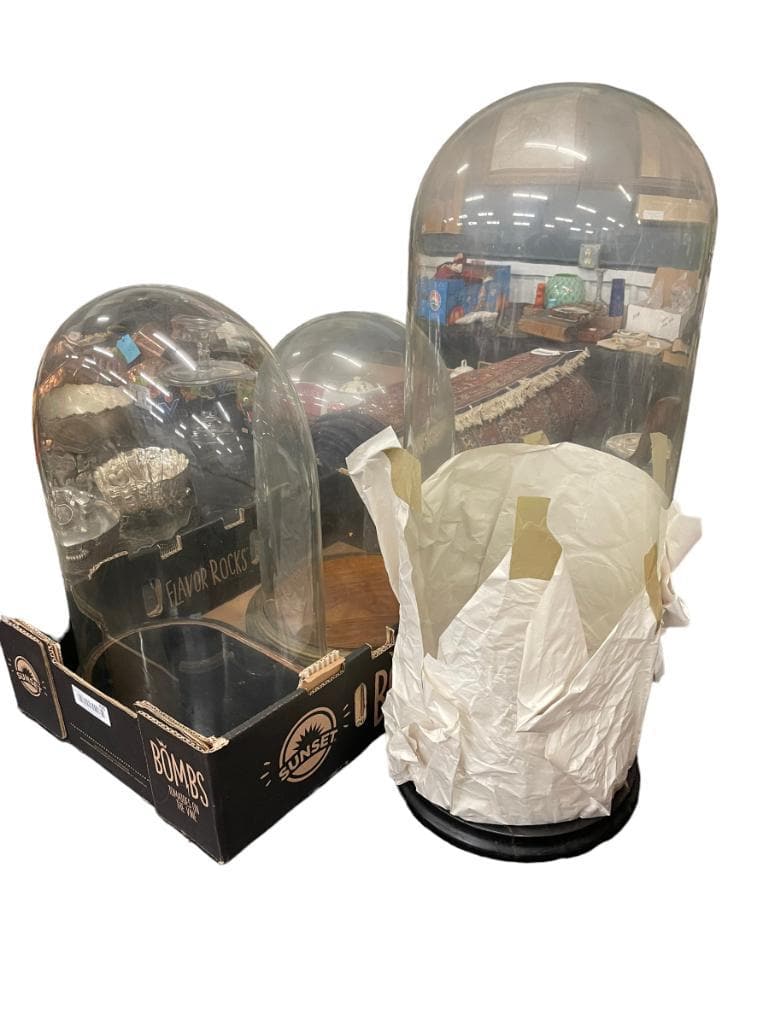 Antique Glass Domes w/ Bases (1 of 5)