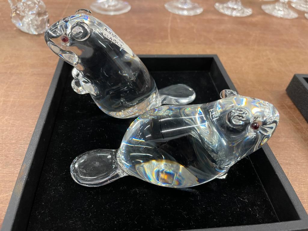 2 Steuben Beavers (1 of 4)