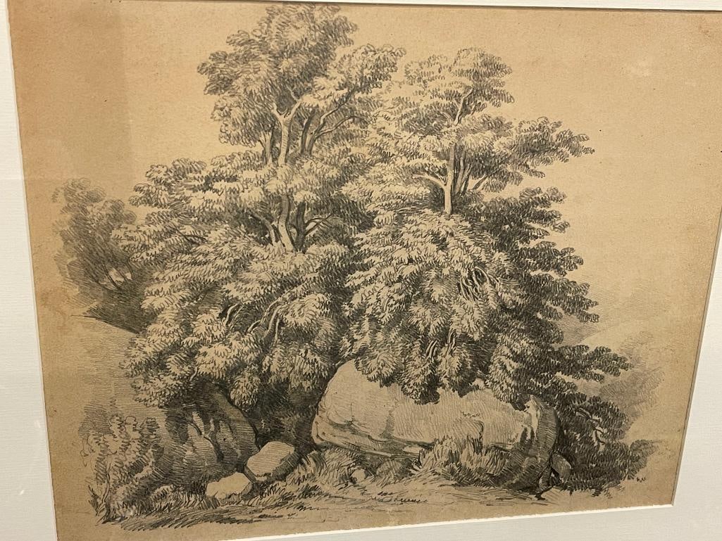 Pencil Drawing of Trees and Rocks (1 of 4)