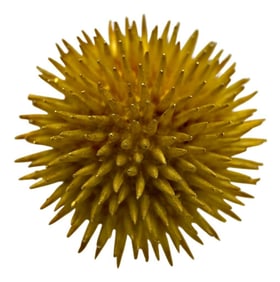 Tiffany & Co 18k Gold Sea Urchin Pin