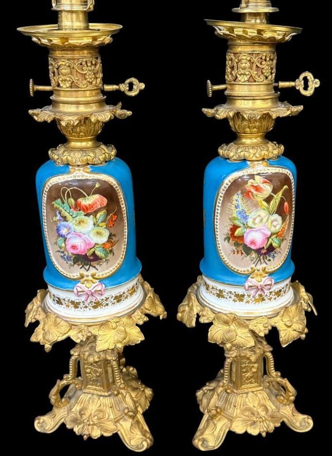 2 Hand Painted Porcelain and Gilt Bronze Table Lamps: 2 Hand Painted Porcelain and Gilt Bronze Table Lamps. Heavenly blue bodies with hand painted floral reserves. Approx. 35 x 17 x 17 inches.