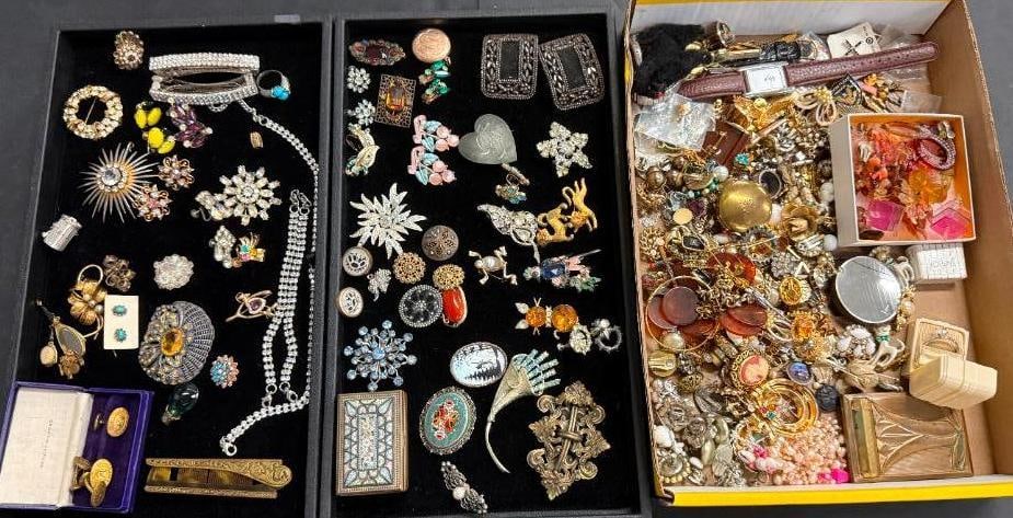 Group of Costume Jewelry pins, necklaces and more: Group of Costume Jewelry pins, necklaces and more.