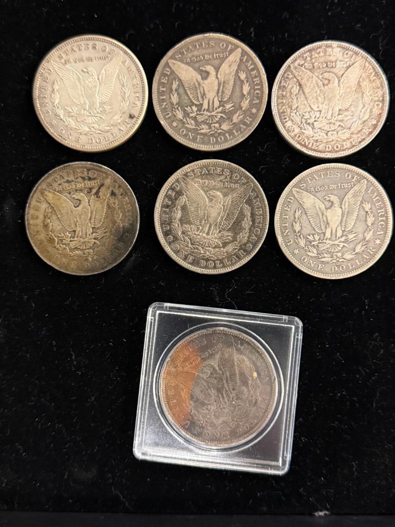 7 Morgan Silver Dollars - 2