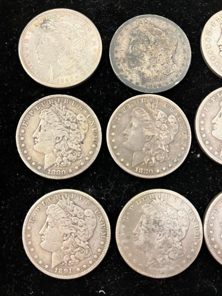 12 Morgan Silver Dollars - 2
