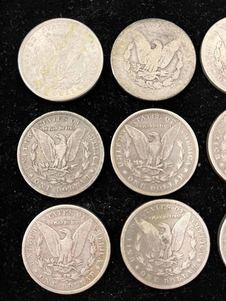 12 Morgan Silver Dollars - 5