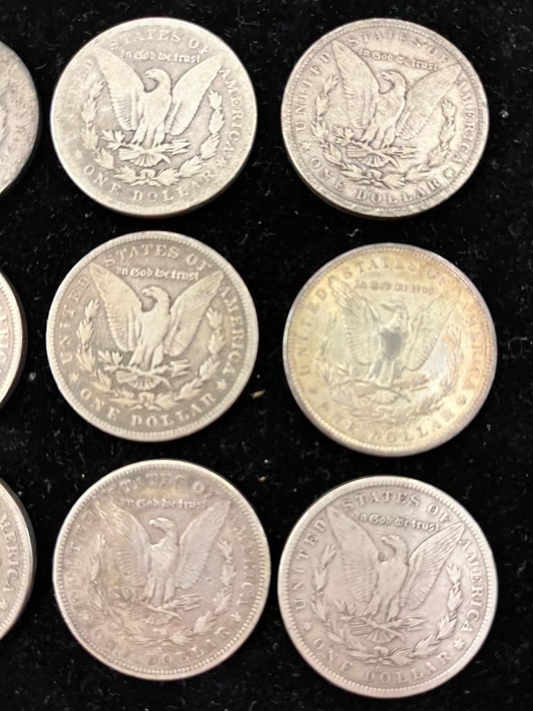12 Morgan Silver Dollars - 6