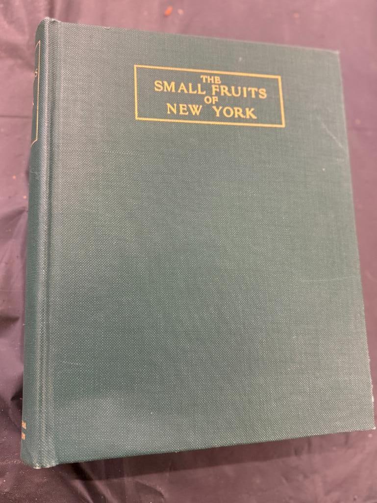 1925 The Small Fruits of New York: 1925 The Small Fruits of New York by U.P. Hedrick.