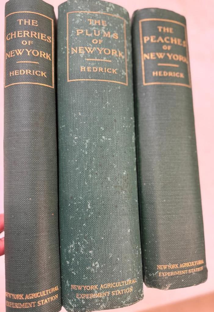 The Cherries, Plums and Peaches of New York: The Cherries, Plums and Peaches of New York by U.P. Hedrick. 3 books.