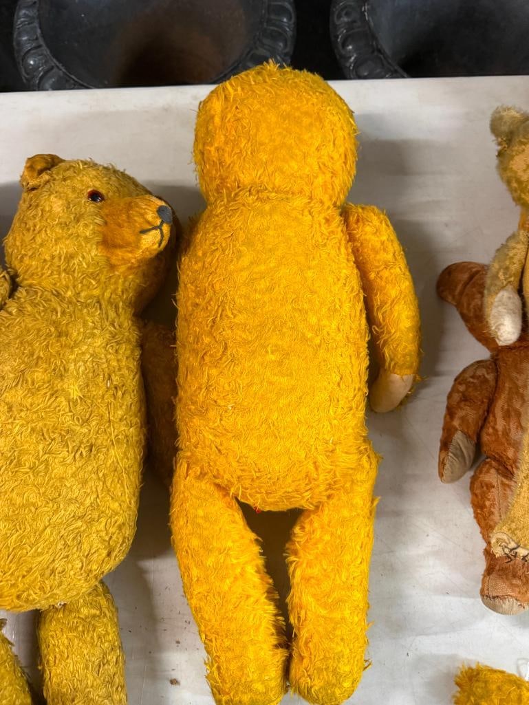 3 antique teddy bears - 6