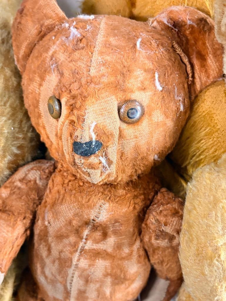 4 antique teddy bears - 5