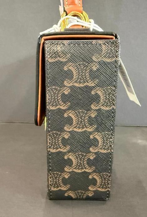 CELINE Triomphe Box bag - 4
