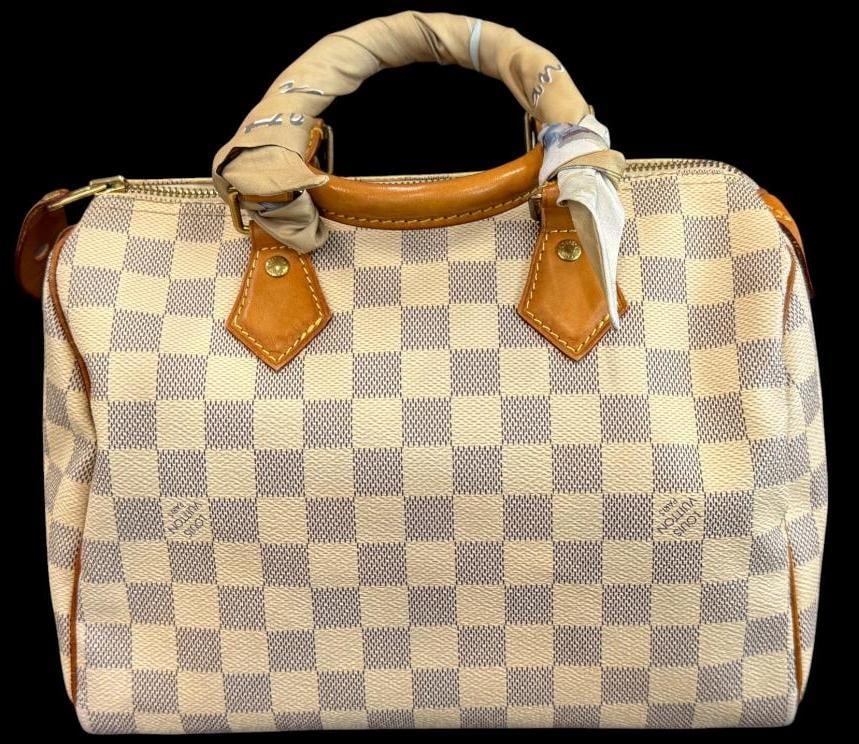 Louis Vuitton Speedy bag (1 of 20)