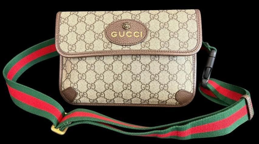 Gucci Neo Belt Bag (1 of 12)