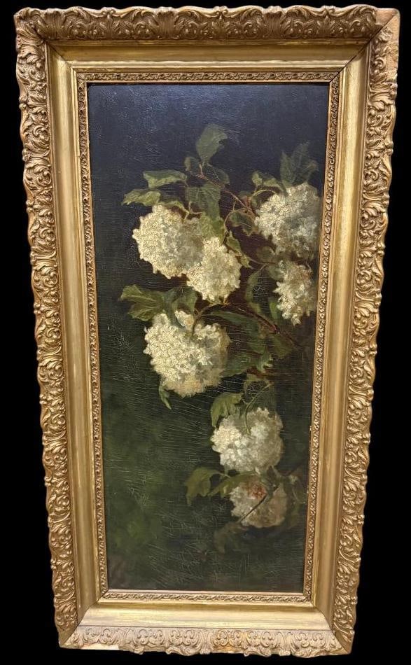 M.H. Hamilton oil on panel: Possibly M.H. Hamilton oil on panel of Hydrangeas. Approx. 24 x 9.5 inches. Frame approx. 28.5 x 14.5 inches. Provenance: This piece comes from the Herbert F. Johnson Museum of Art at Cornell