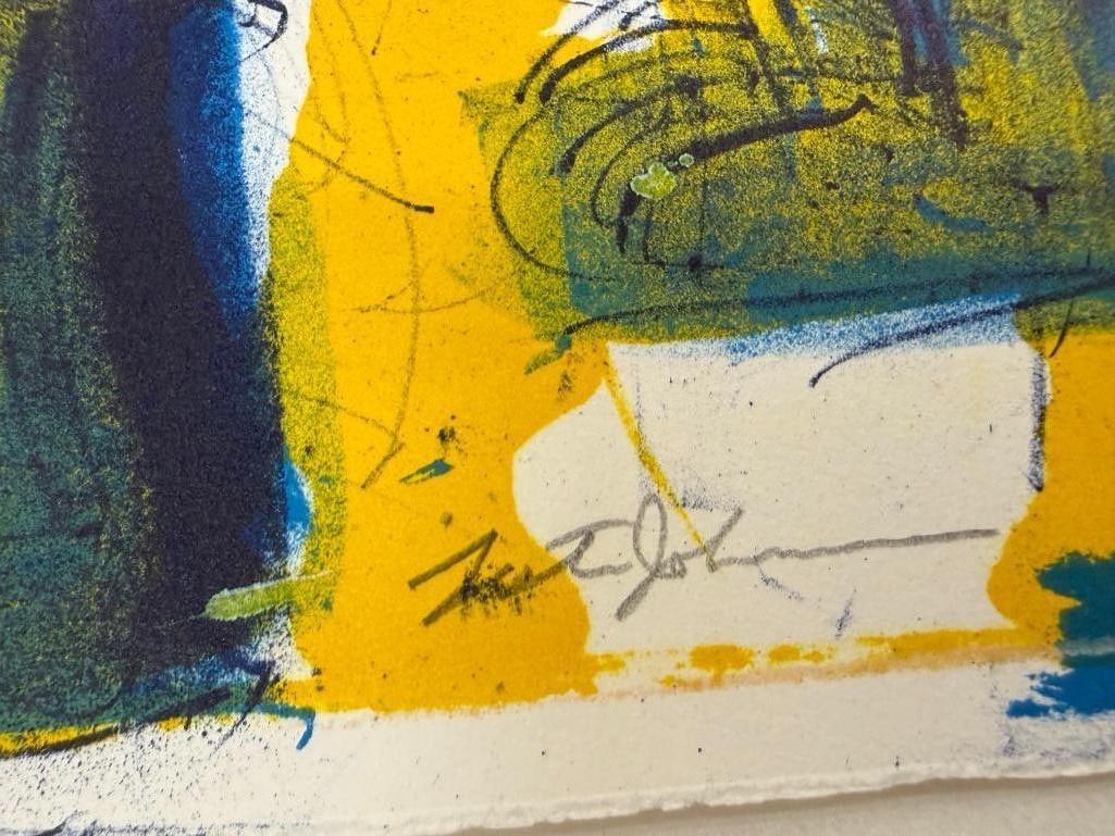 3 signed and numbered lithographs - 10