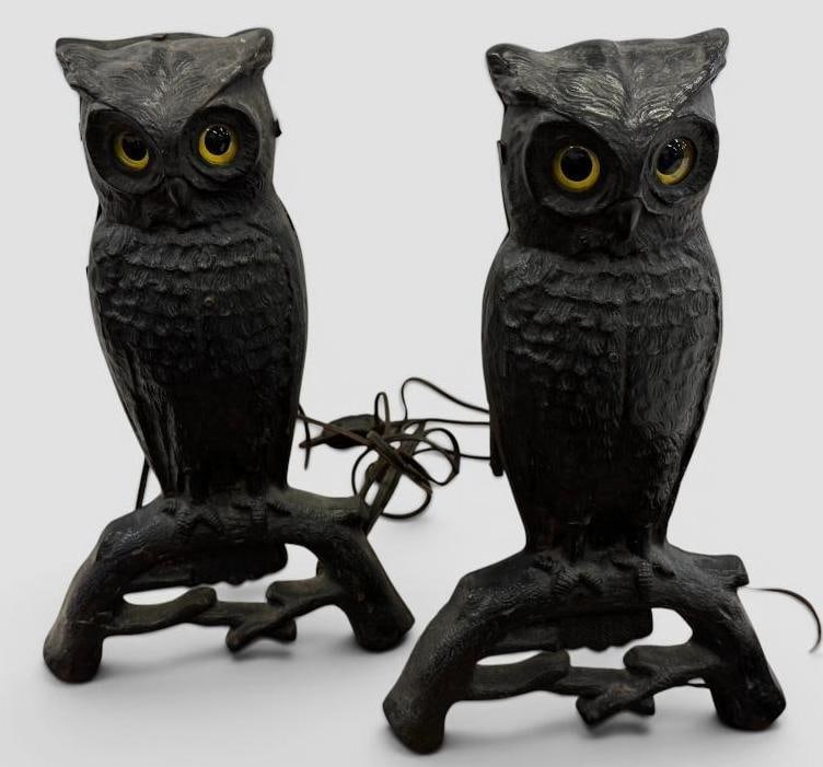 Pair of Cast Iron Owl Andirons (1 of 5)