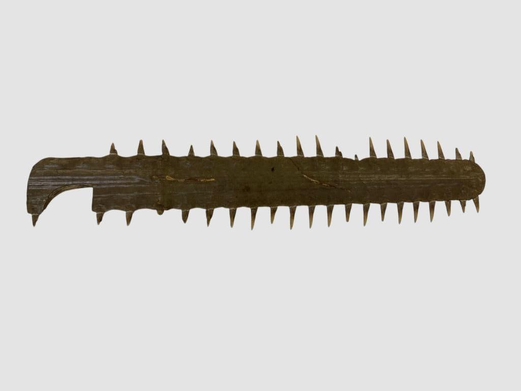 Antique Sawfish Bill: Antique Sawfish Bill / Rostrum. Approx. 25.5 x 5 inches.