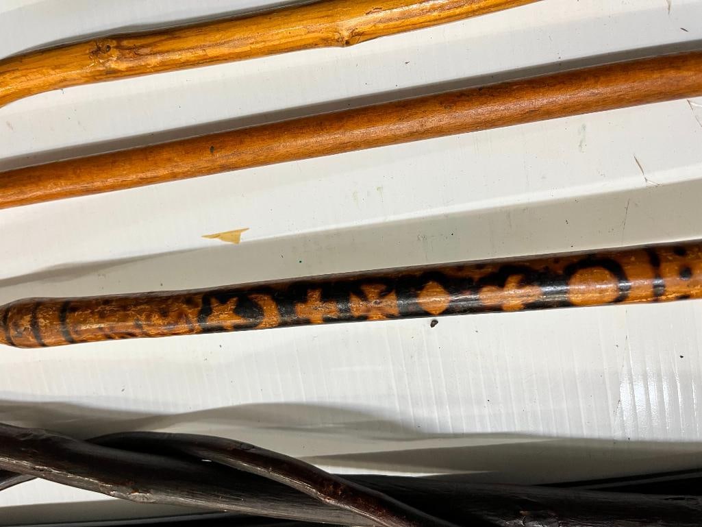 8 Walking Sticks - 10