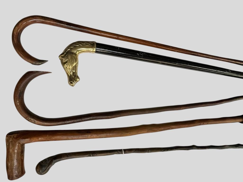 5 Walking sticks (1 of 15)