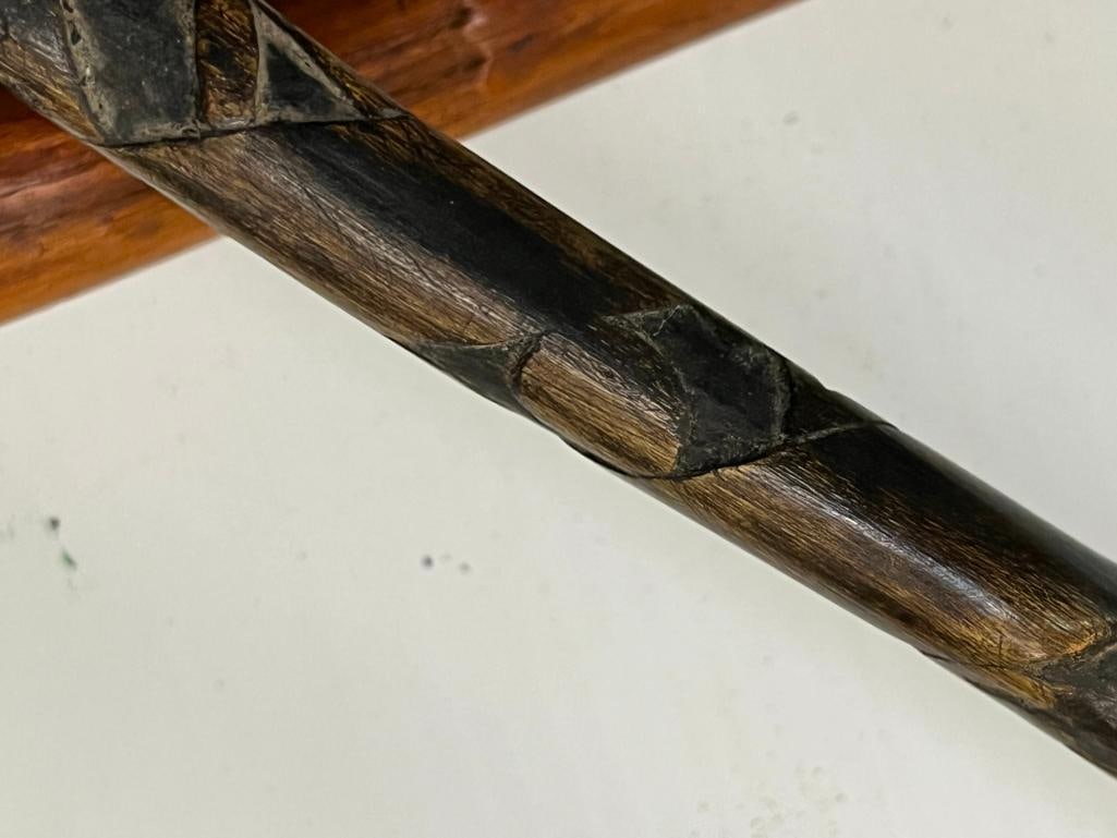 5 Walking sticks - 7