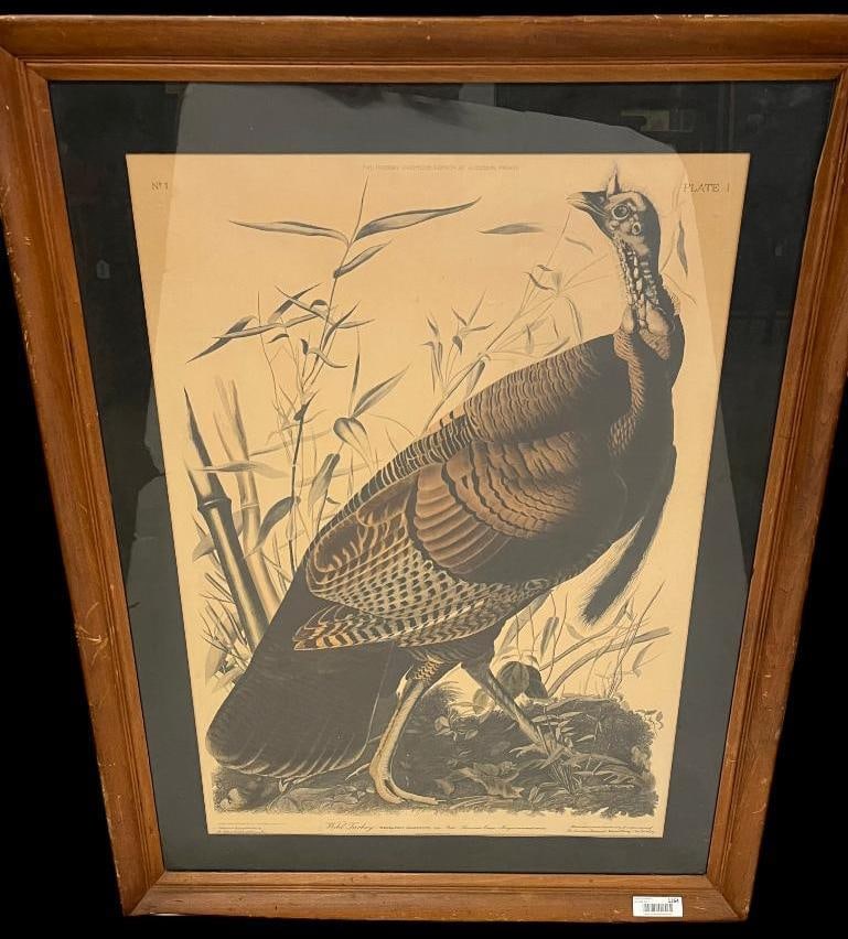 Large Wild Turkey Audubon Print (1 of 10)