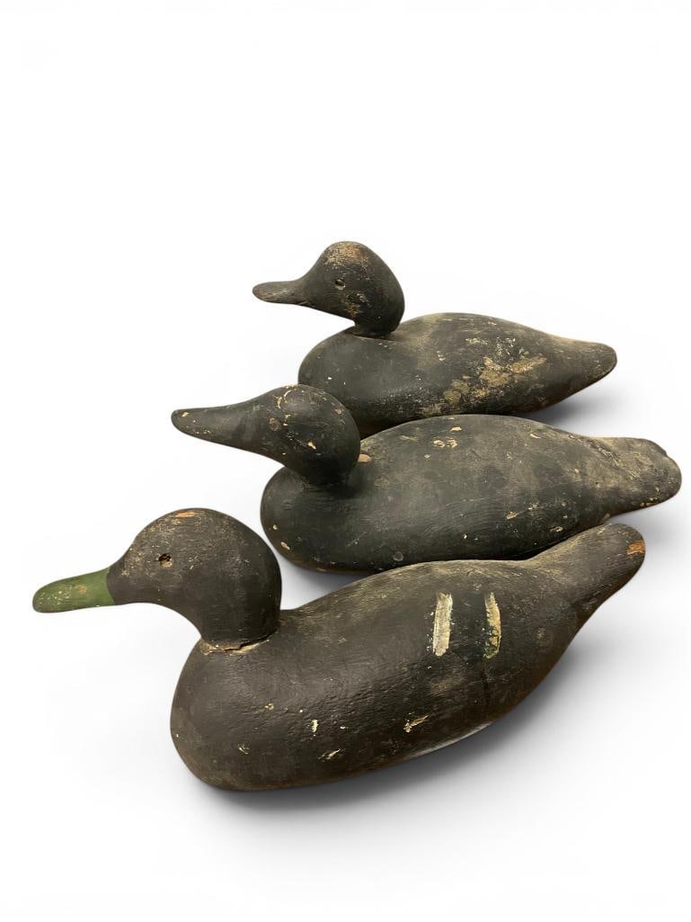 3 Antique Duck Decoys: 3 Antique Duck Decoys. Largest approx. 15 x 7 x 5.5 inches.